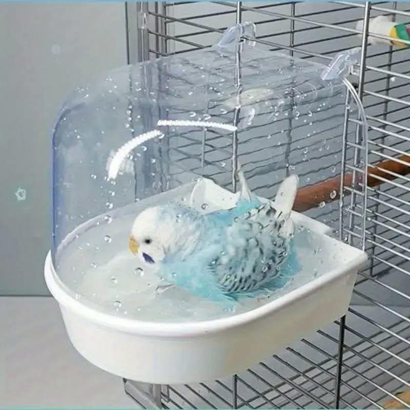 مسبح طيور