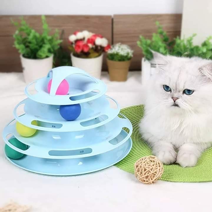 لعبة المسارات